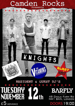 jubilee camden rocks festival flyers by sophie lo