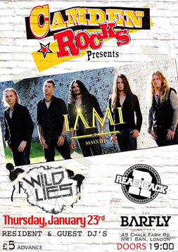 jubilee camden rocks festival flyers by sophie lo