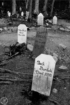 Photography by Sophie Lo