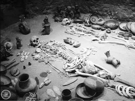 Photography by Sophie Lo