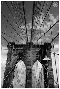 Photography by Sophie Lo