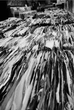 Photography by Sophie Lo