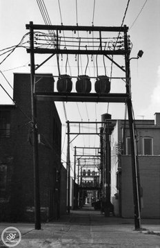 Photography by Sophie Lo