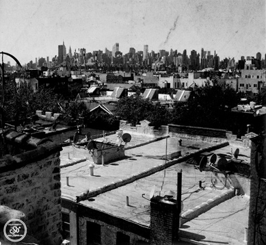 Photography by Sophie Lo