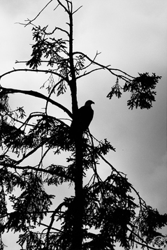 Photography by Sophie Lo